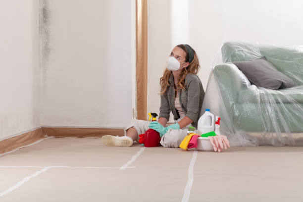 Reliable Mold Remediation contractor in Rising Sun, MD by WQB Mold Removal